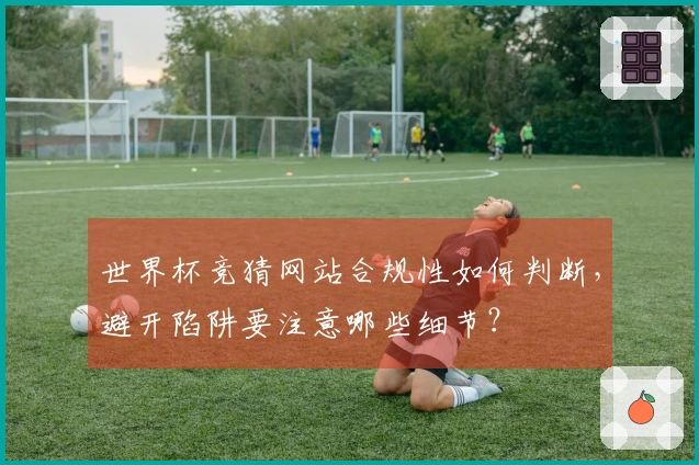 世界杯竞猜网站合规性如何判断，避开陷阱要注意哪些细节？