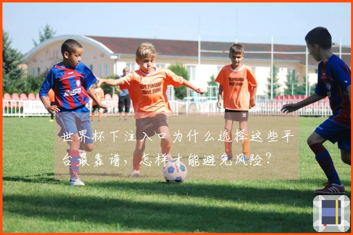 世界杯下注入口为什么选择这些平台最靠谱，怎样才能避免风险？